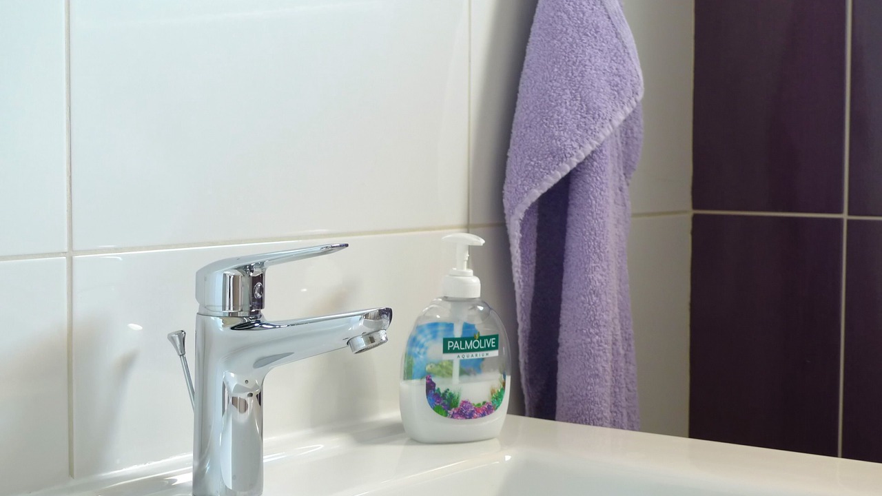 Photo of Bathroom in Olib