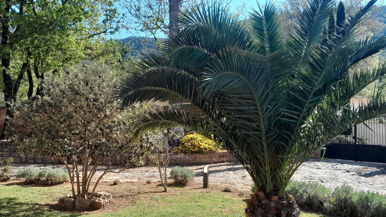 Photo of Outdoor in Sollies-Toucas