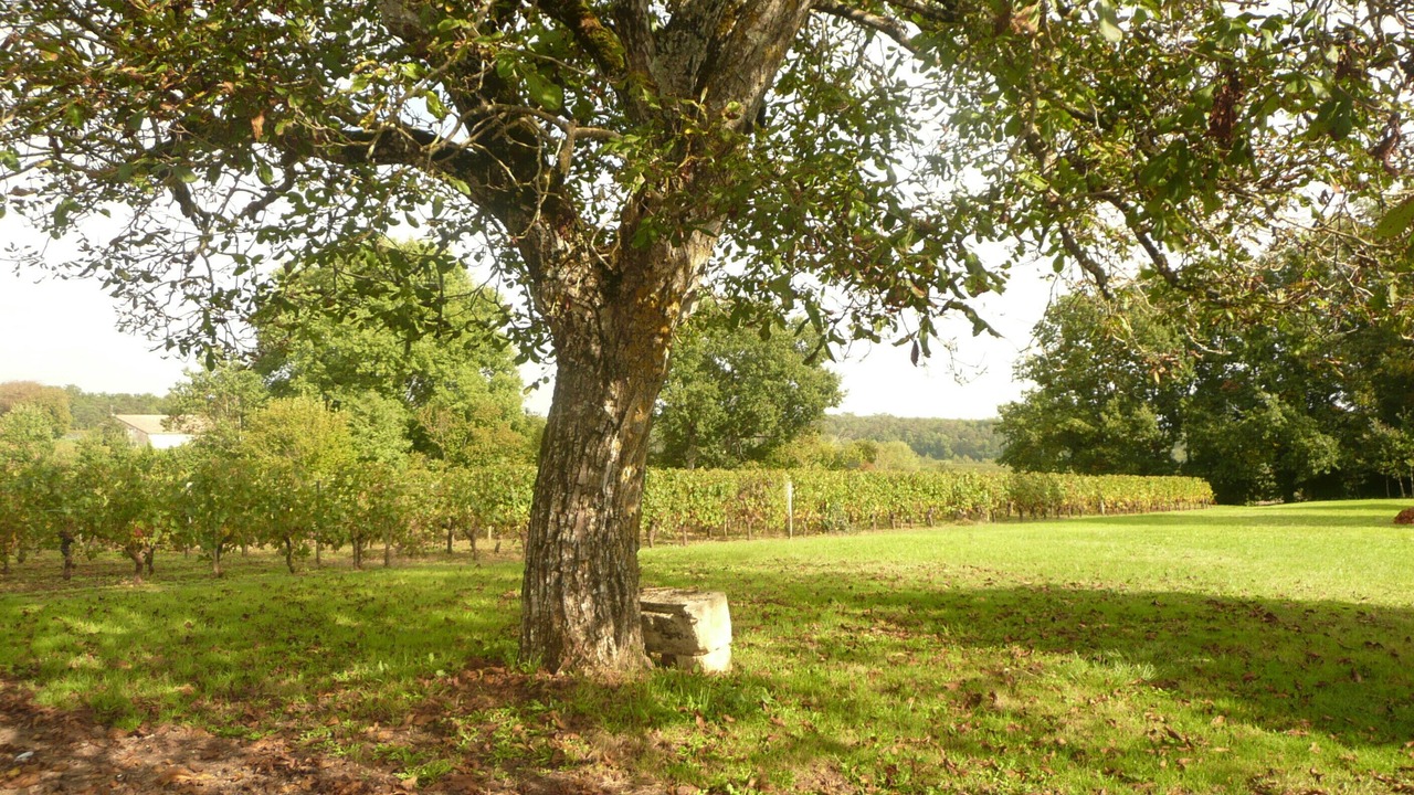 Photo of Outdoor in Gardegan-et-Tourtirac