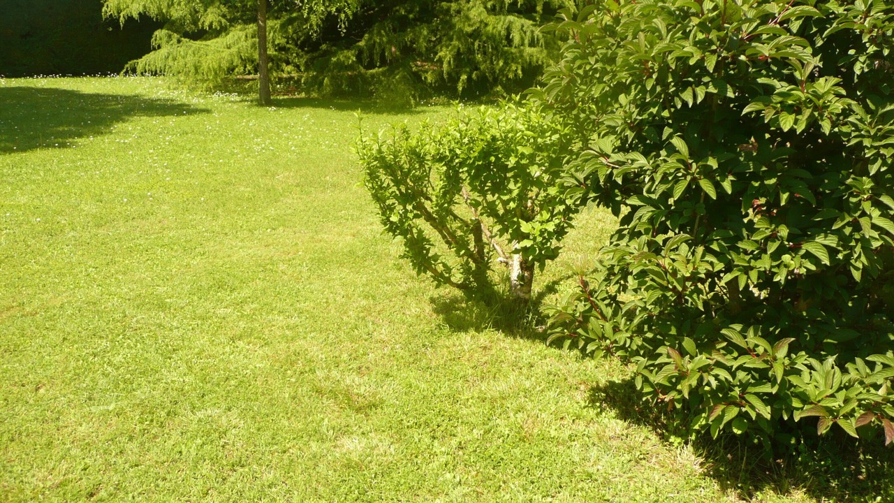 Photo of Outdoor in Gardegan-et-Tourtirac