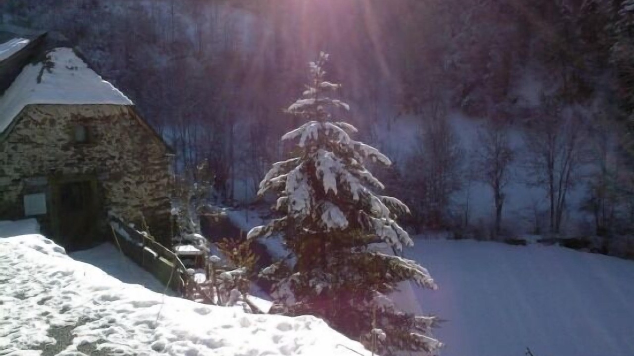 Photo of Outdoor in Bareilles