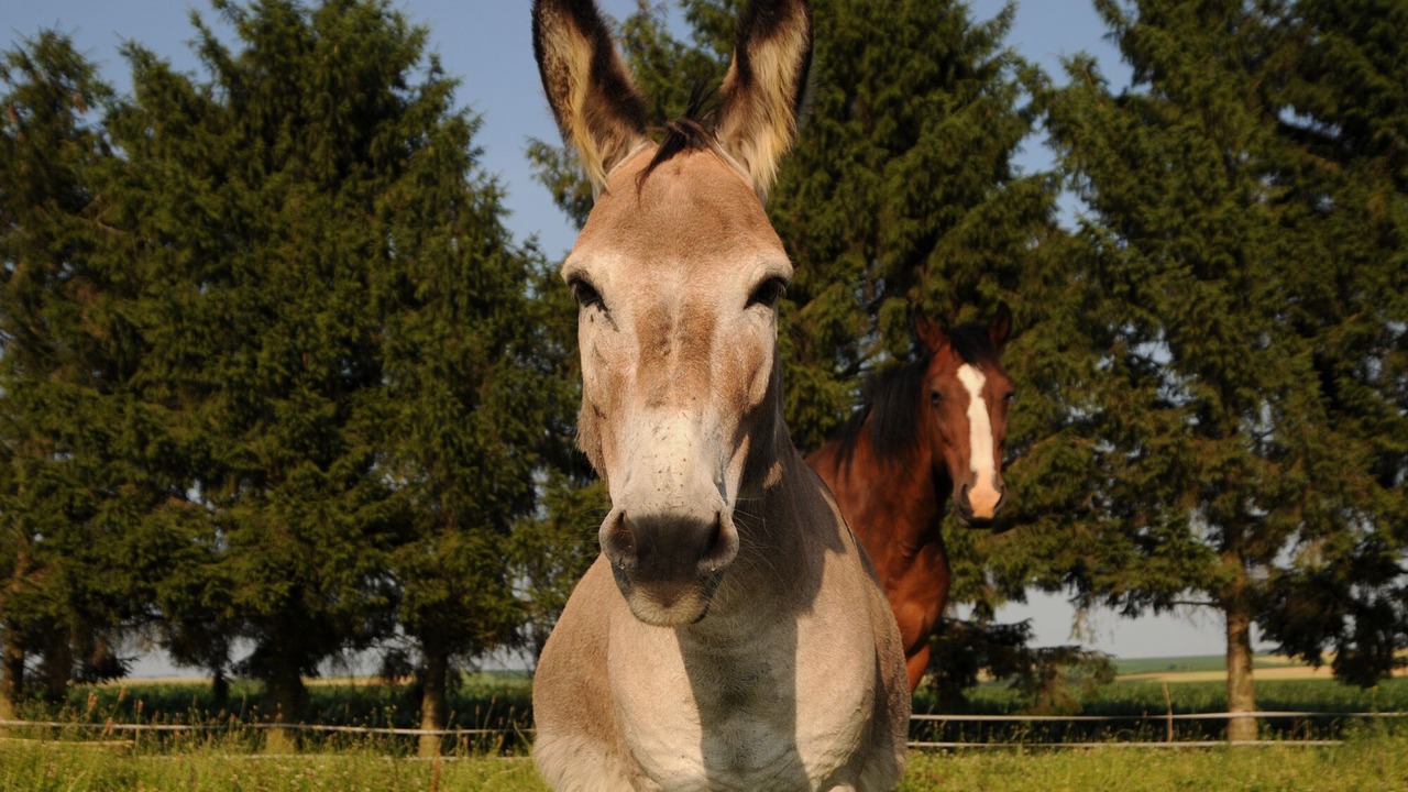 Photo of Outdoor in Banogne-Recouvrance