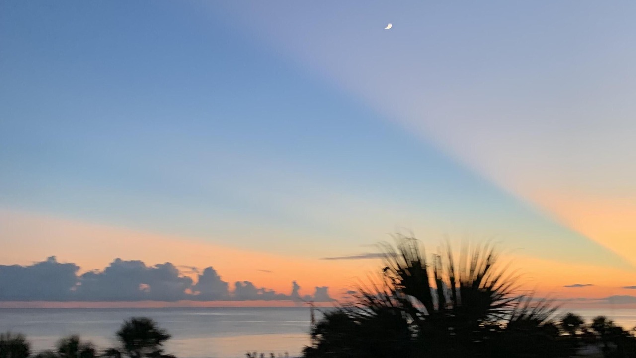 Photo of Others in Thomas Drive