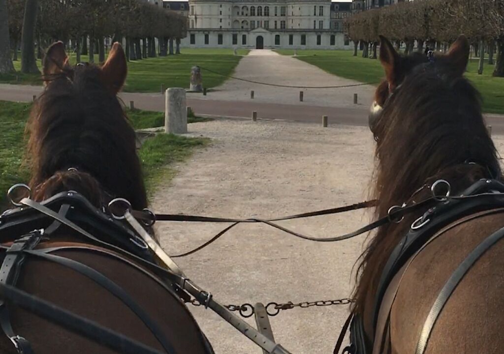 Photo of Others in Crouy-sur-Cosson