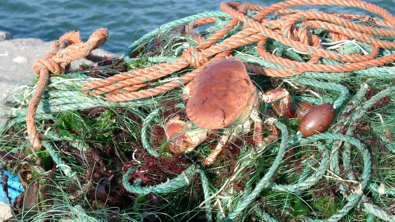 Photo of Outdoor in Roscoff