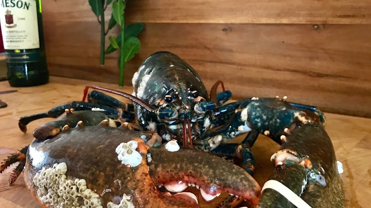 Photo of Others in Roscoff