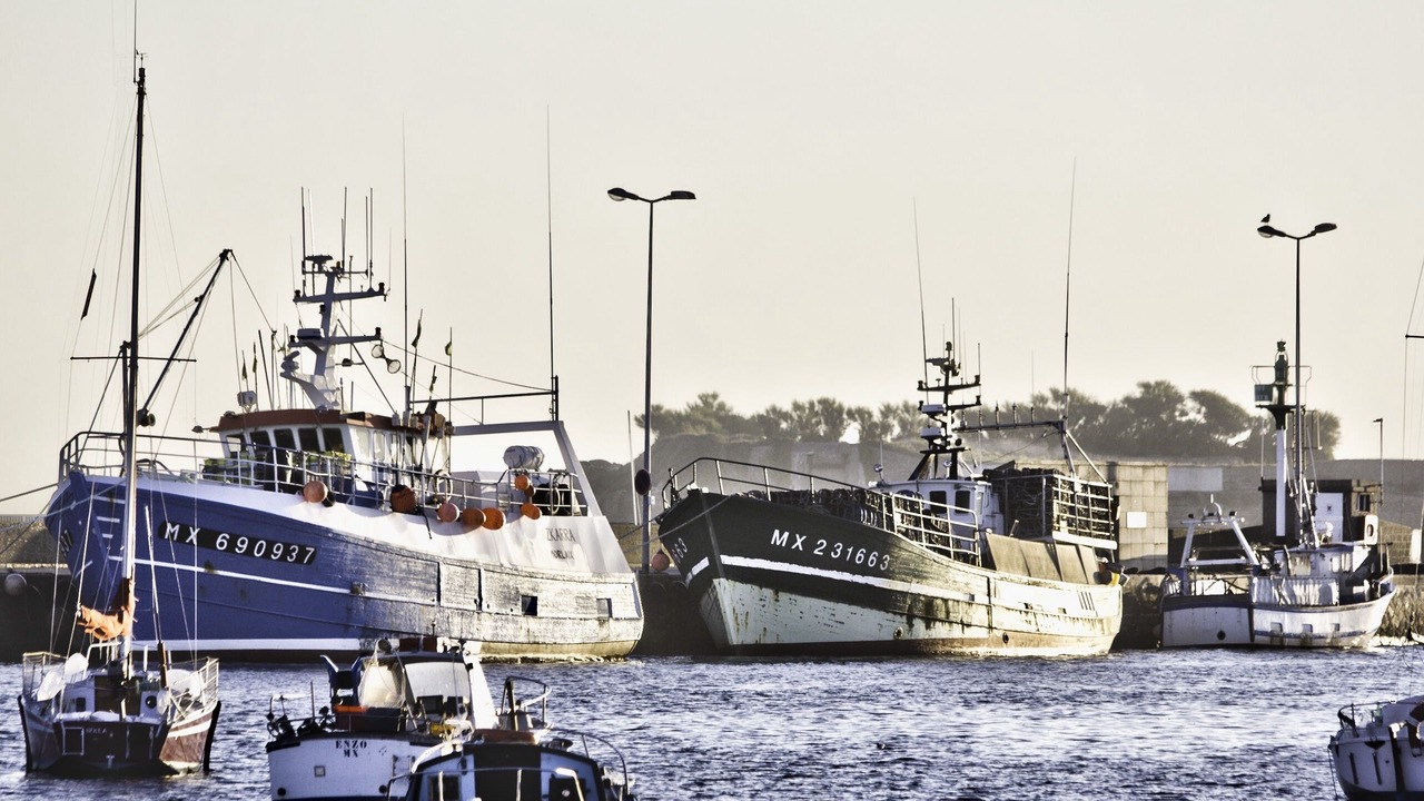 Photo of Others in Roscoff
