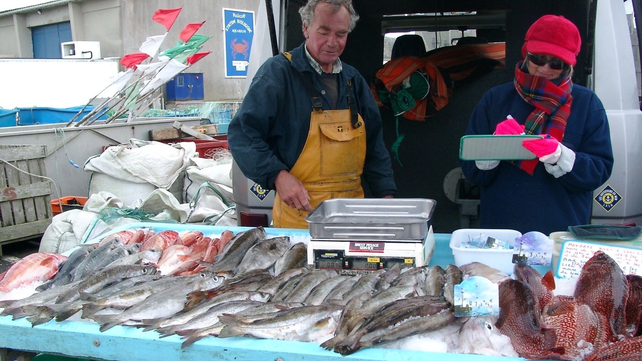 Photo of Outdoor in Roscoff