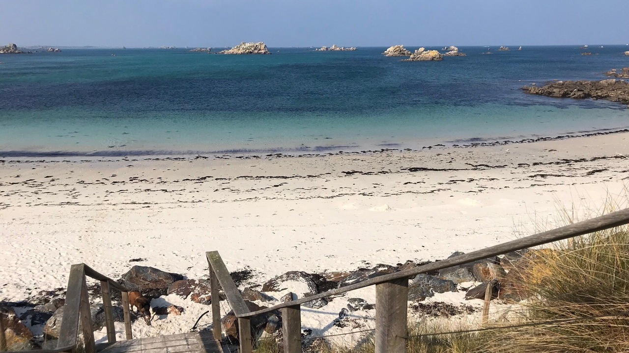 Photo of Others in Roscoff