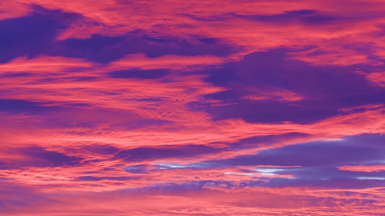 Photo of Others in Roscoff