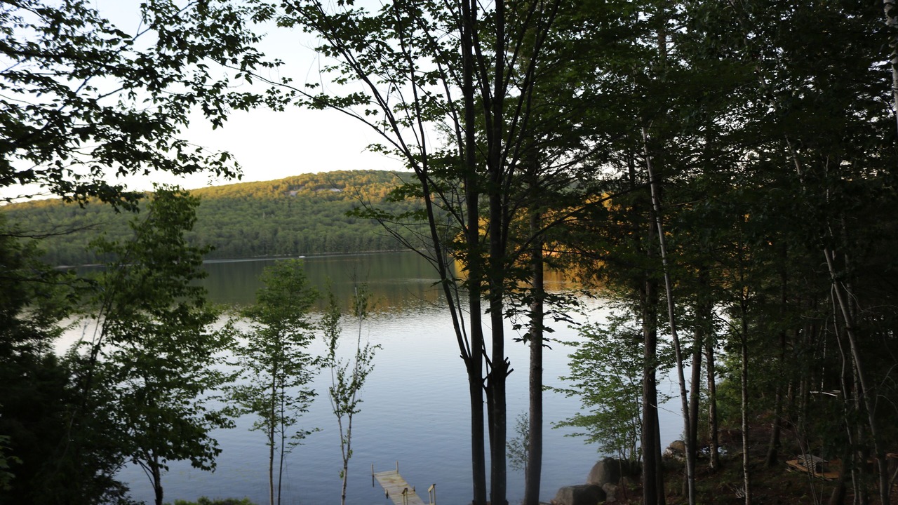 Photo of Outdoor in Cherryfield