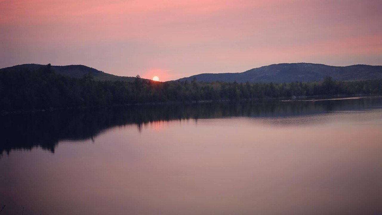 Photo of Others in Cherryfield