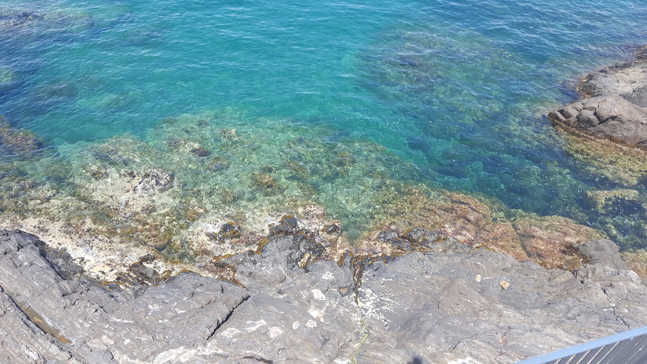 Photo of Others in Collioure