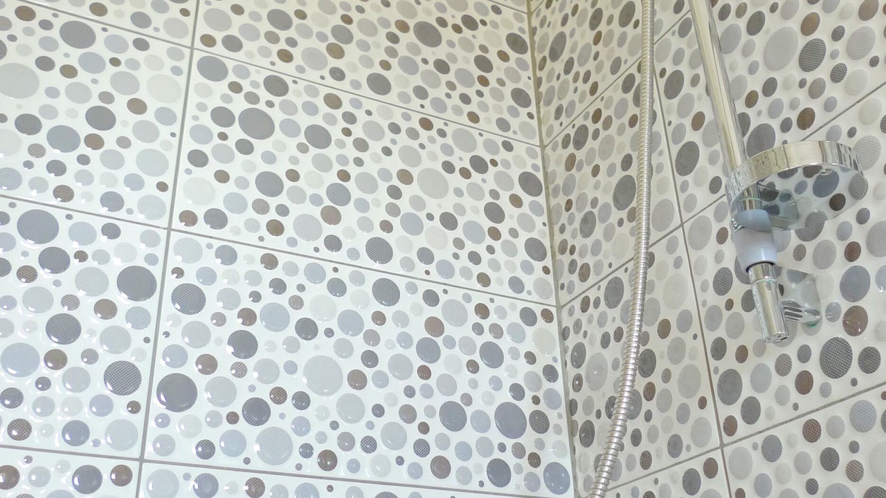 Photo of Bathroom in Olib