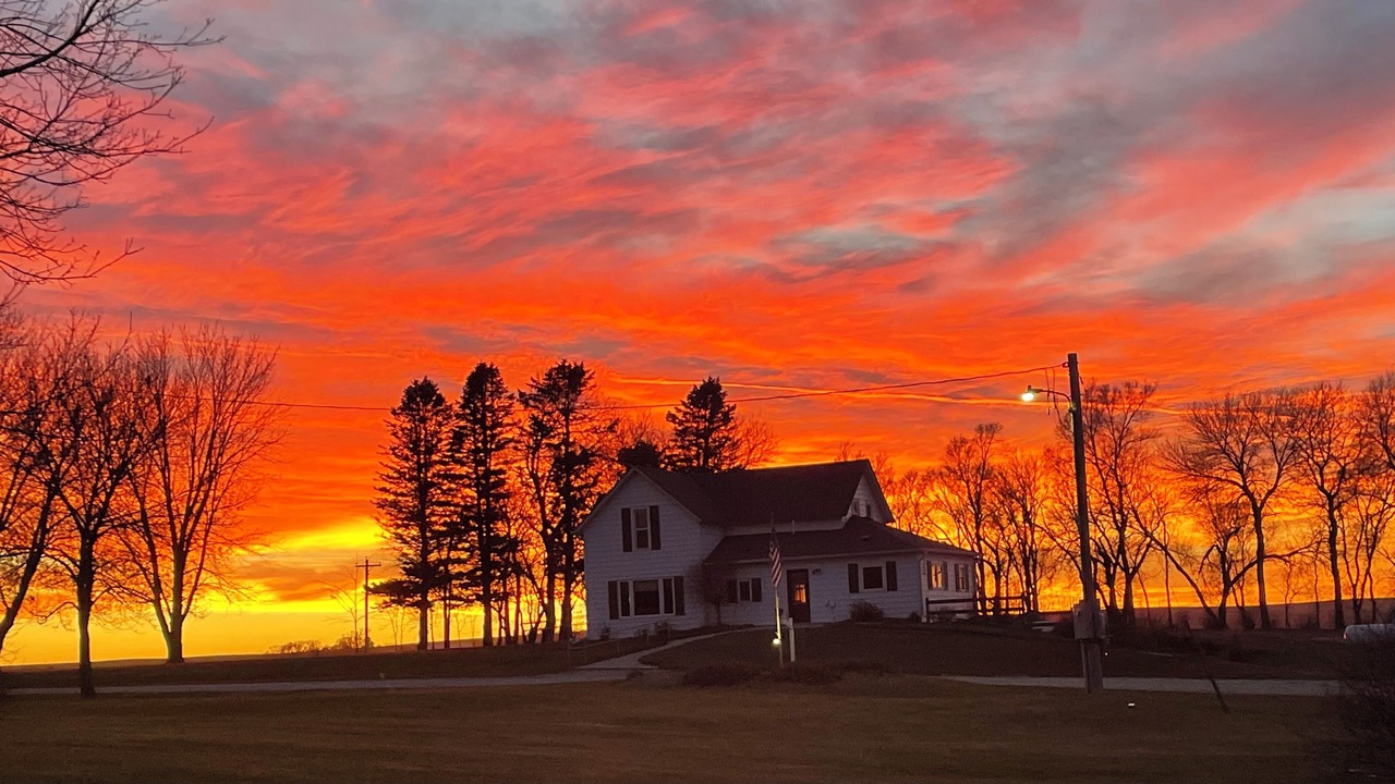 Photo of Outdoor in Albion