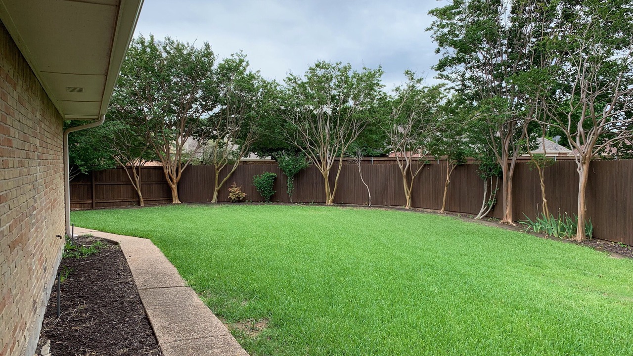 Photo of Outdoor in Plano