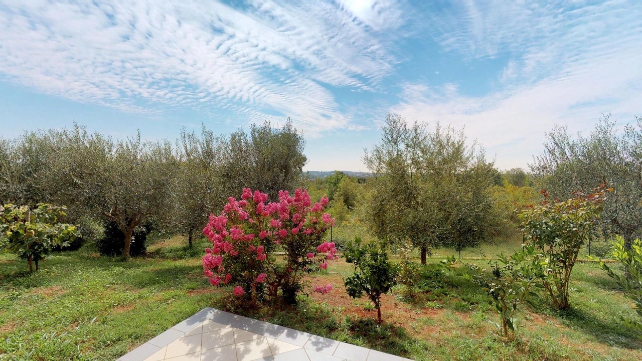 Photo of Outdoor in Vilanija