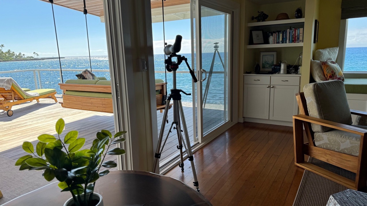 Photo of Others in Kahaluu Bay