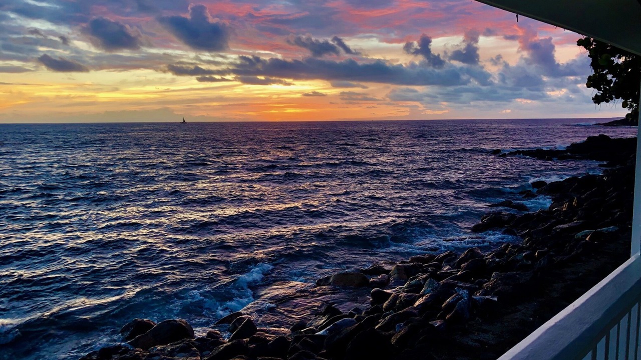 Photo of Others in Kahaluu Bay