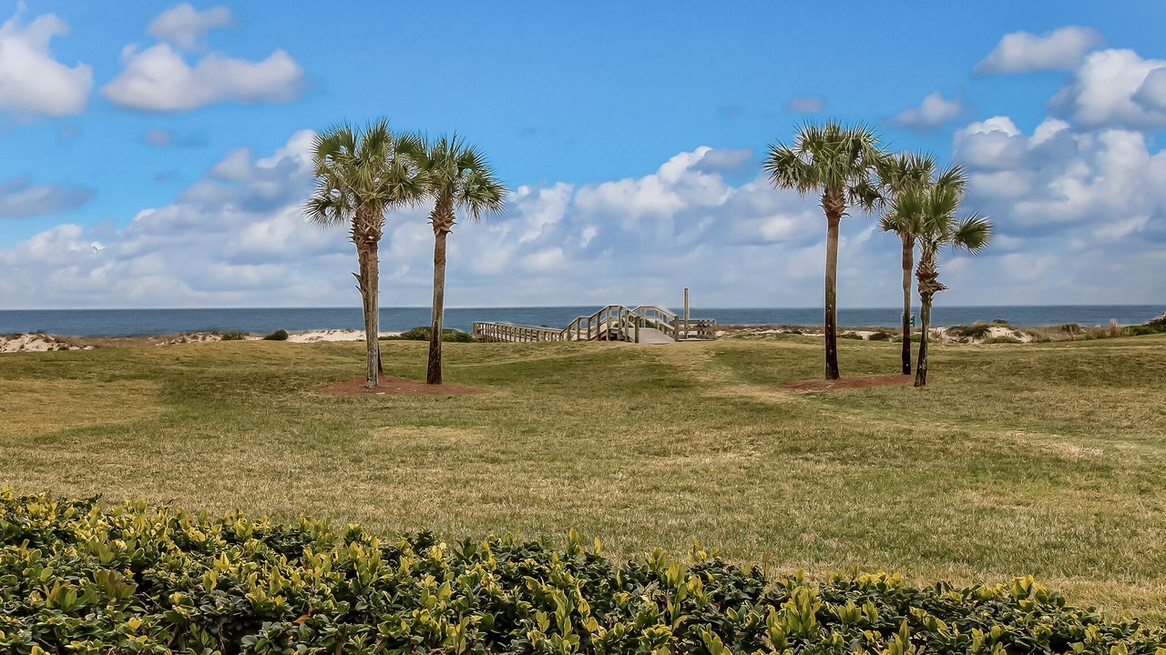 Photo of Outdoor in Amelia City