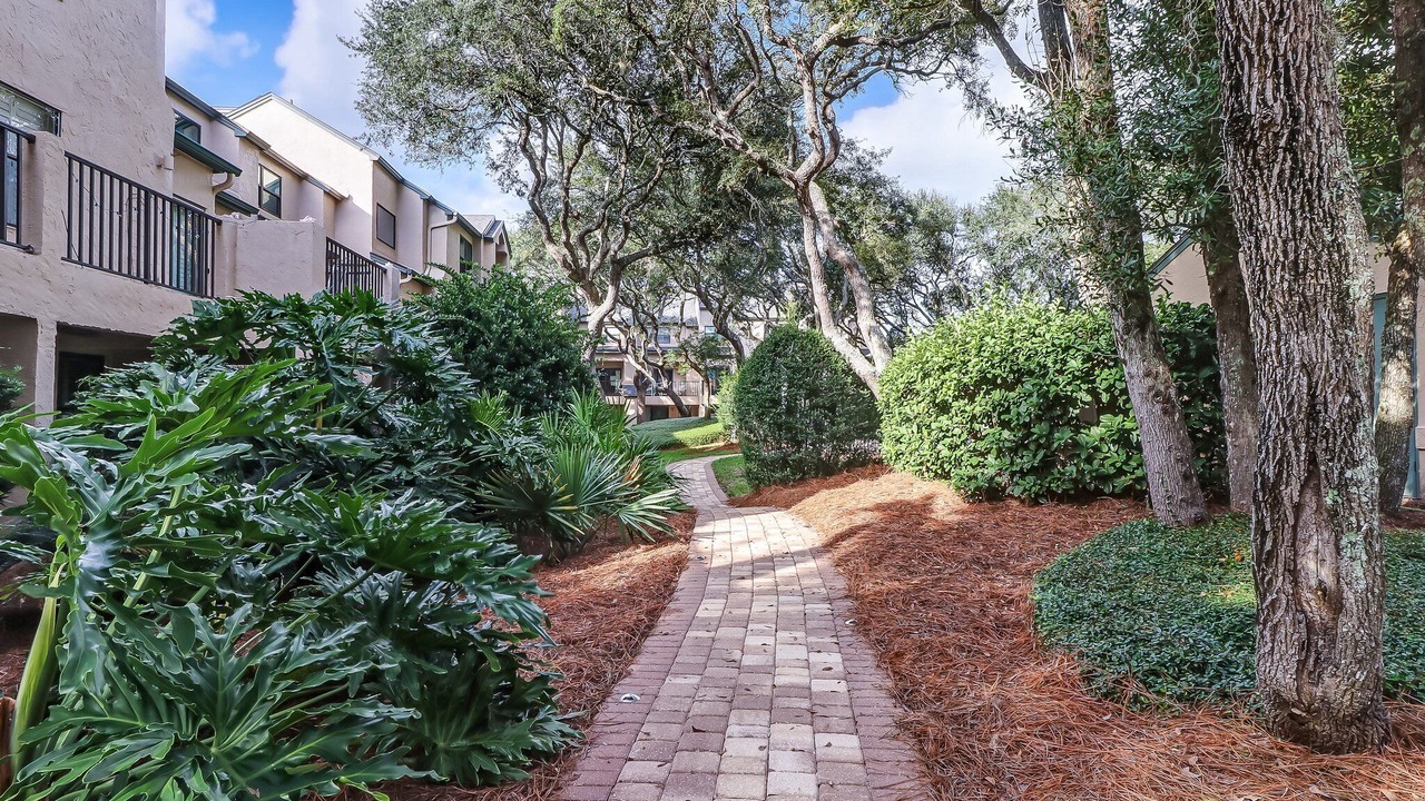 Photo of Outdoor in Amelia City