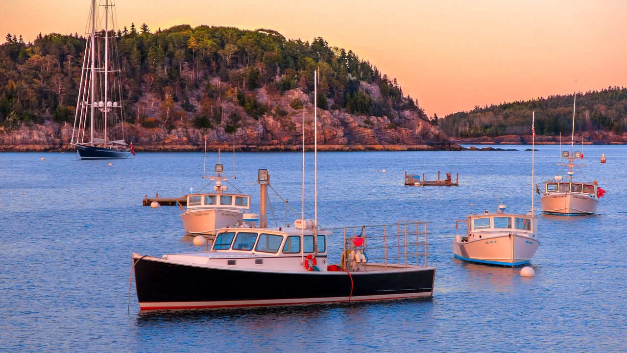 Photo of Others in Bar Harbor