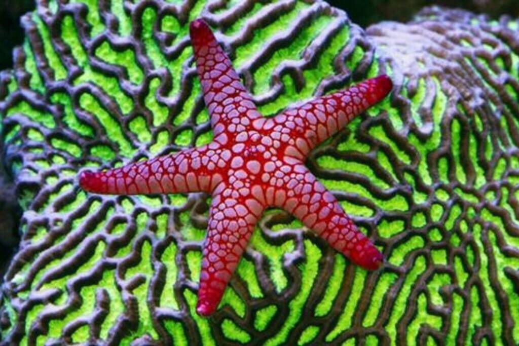 Photo of Others in Malacca City