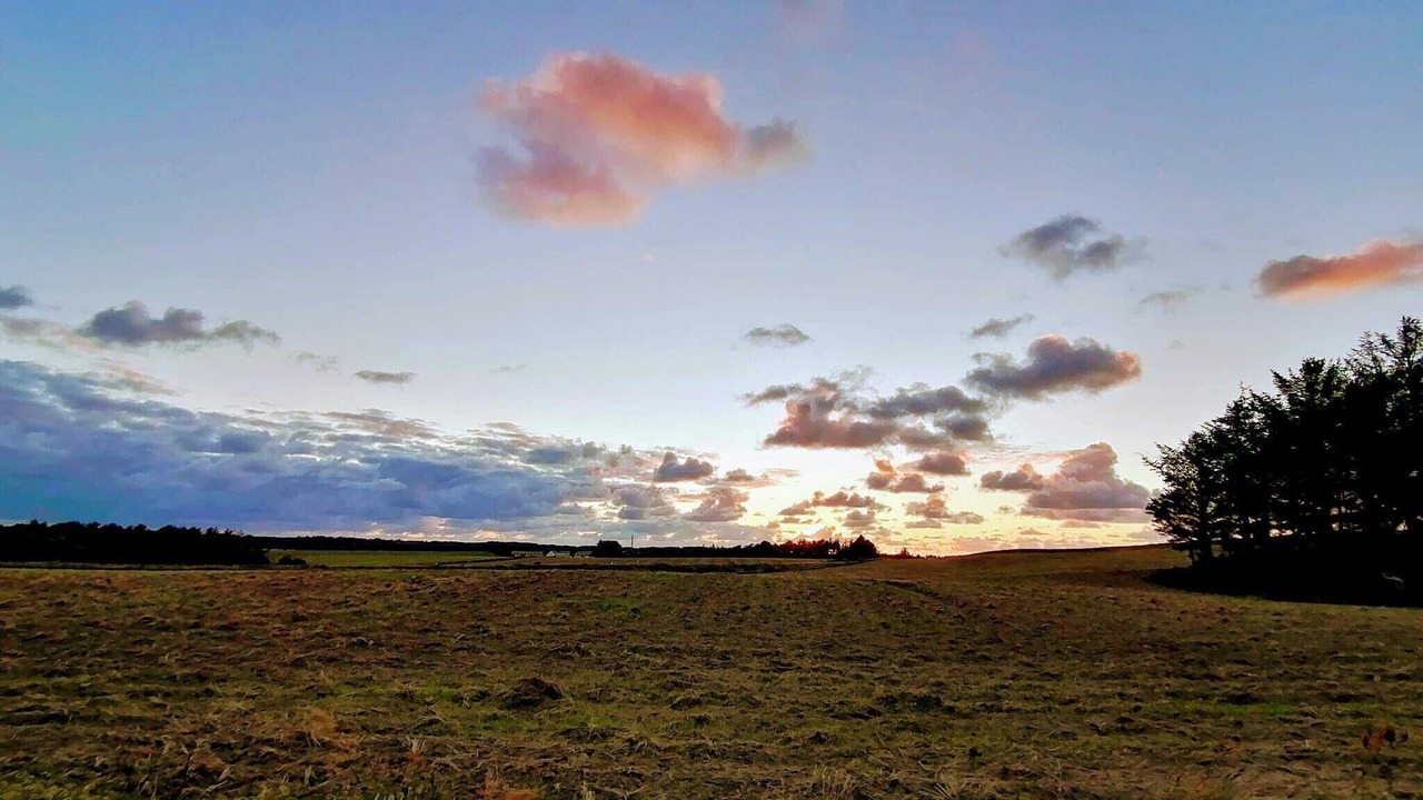 Photo of Others in Grønhøj