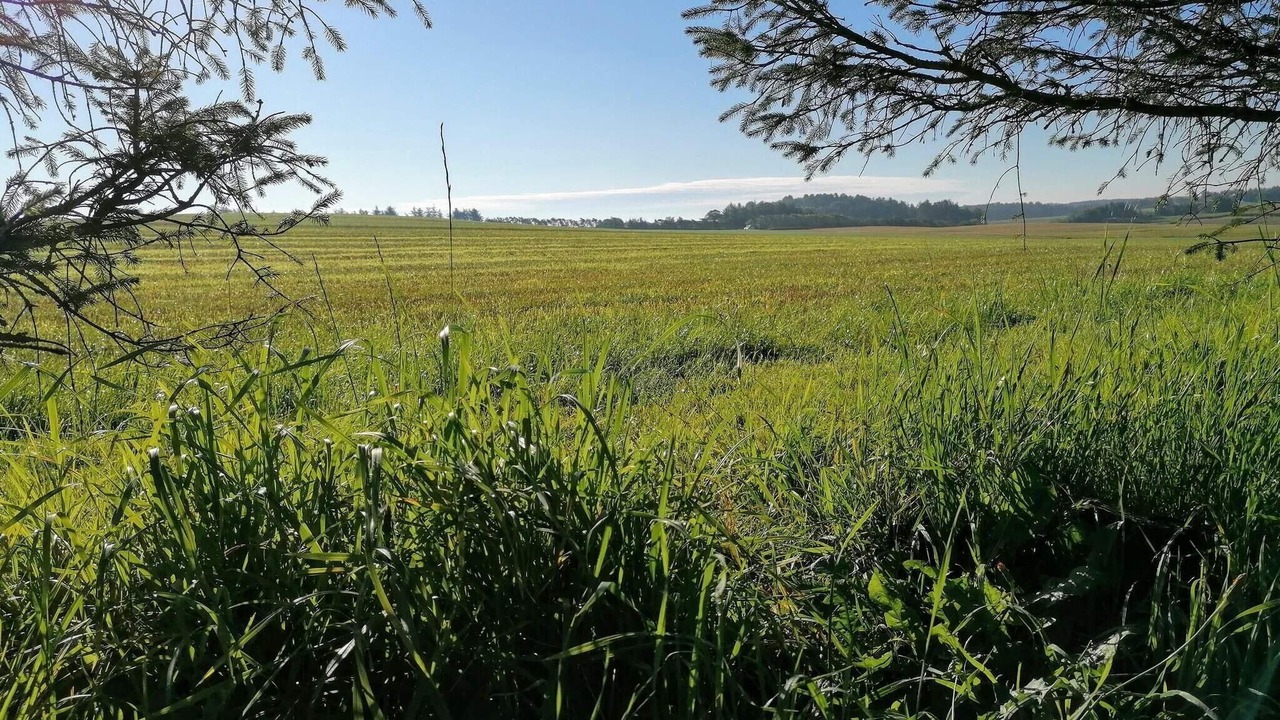 Photo of Others in Grønhøj