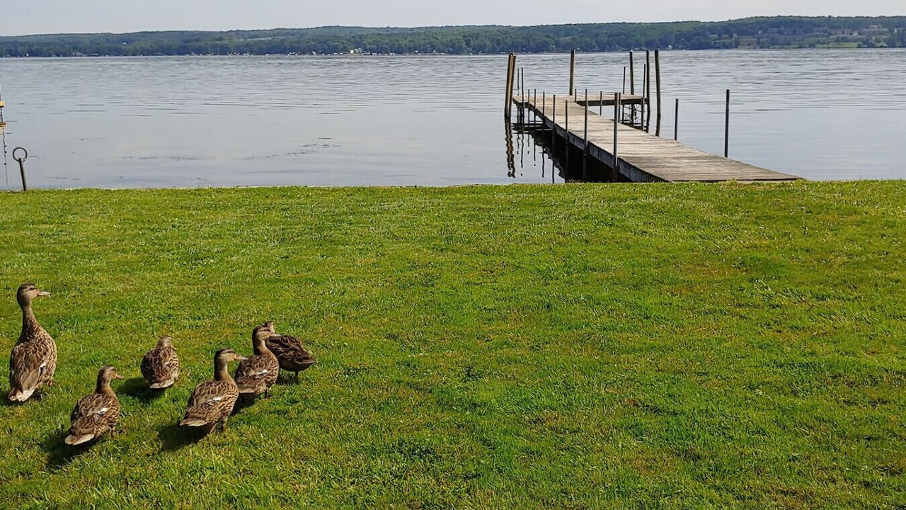 Photo of Others in Mayville