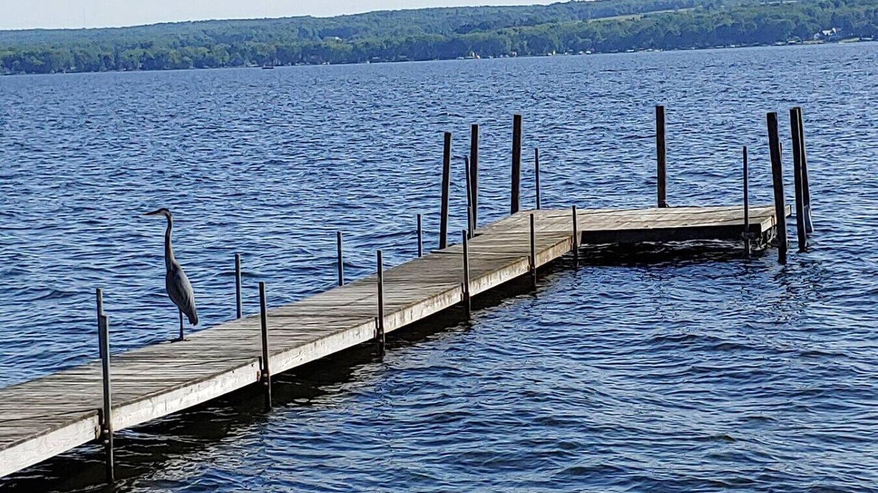 Photo of Outdoor in Mayville