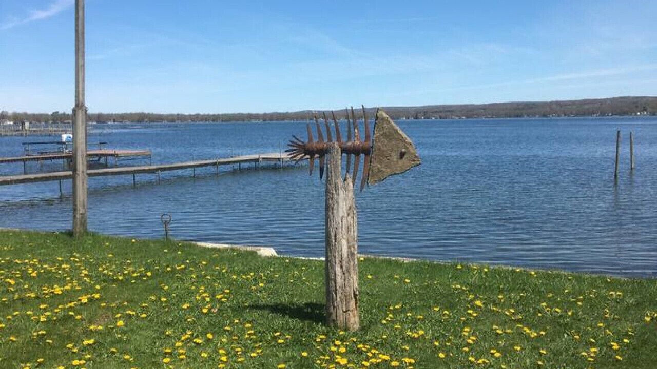 Photo of Outdoor in Mayville