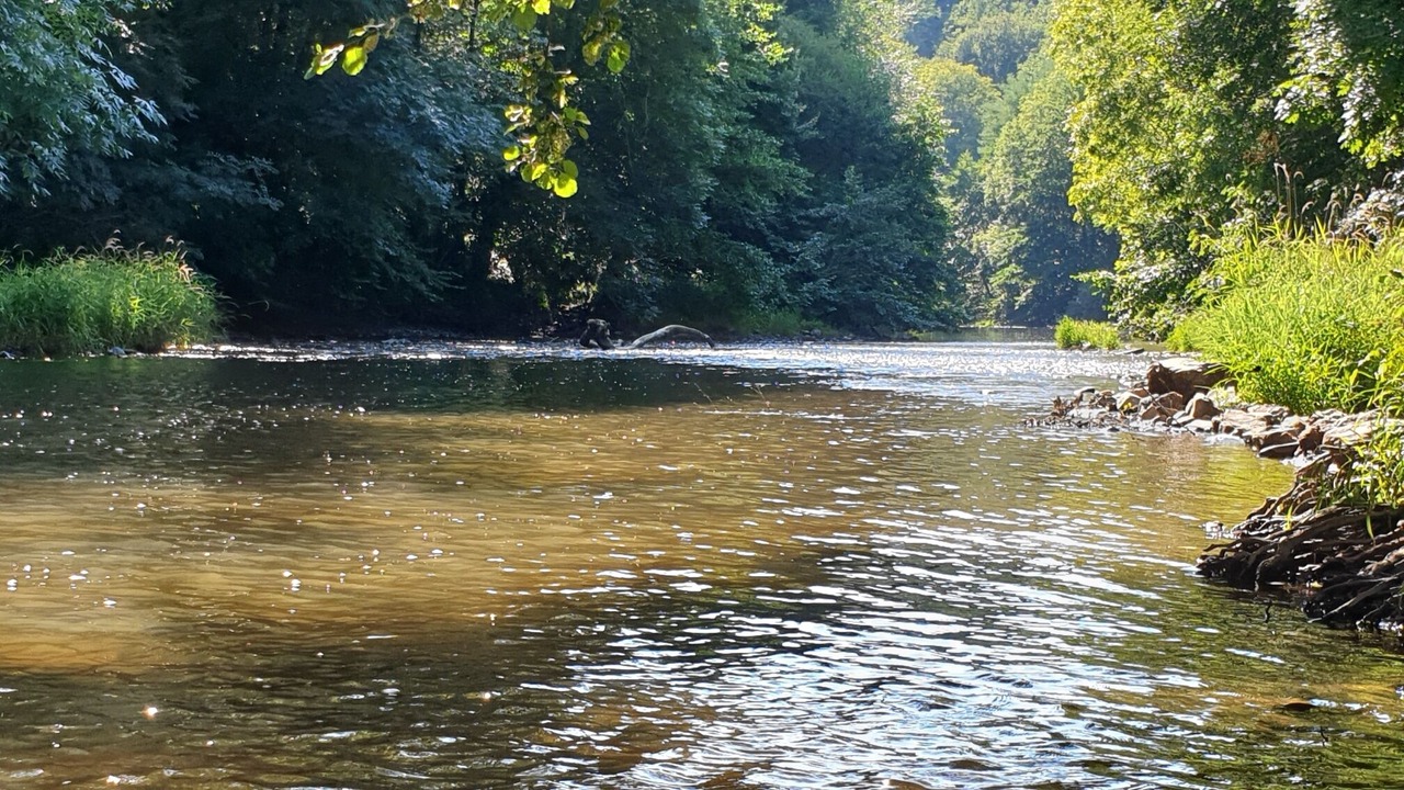 Photo of Outdoor in Saint-Just-sur-Viaur