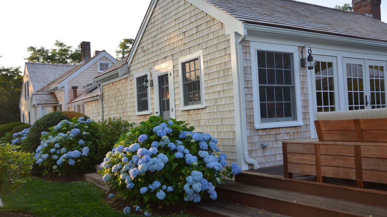 Photo of Outdoor in Orleans