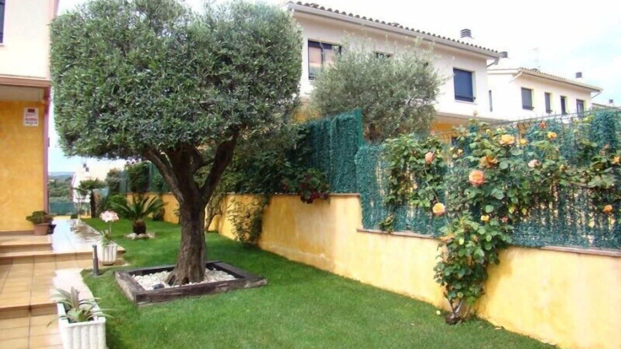 Photo of Outdoor in Palamos