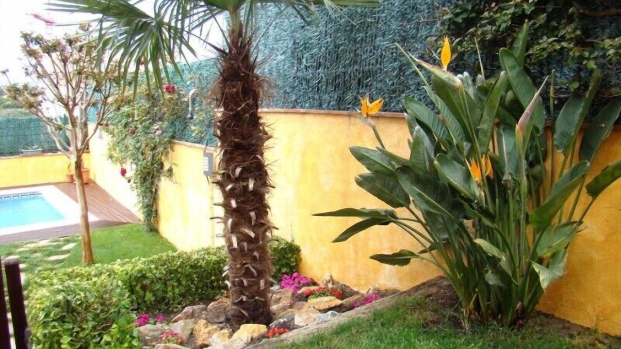 Photo of Outdoor in Palamos