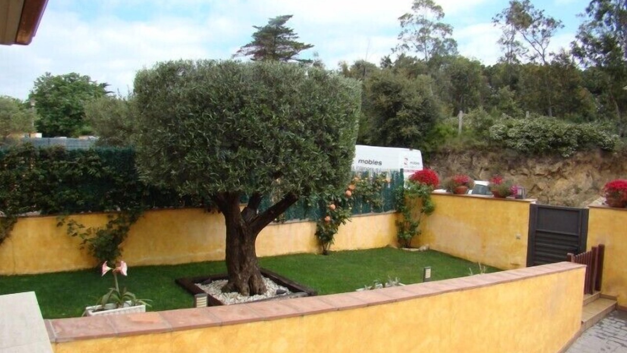 Photo of Outdoor in Palamos