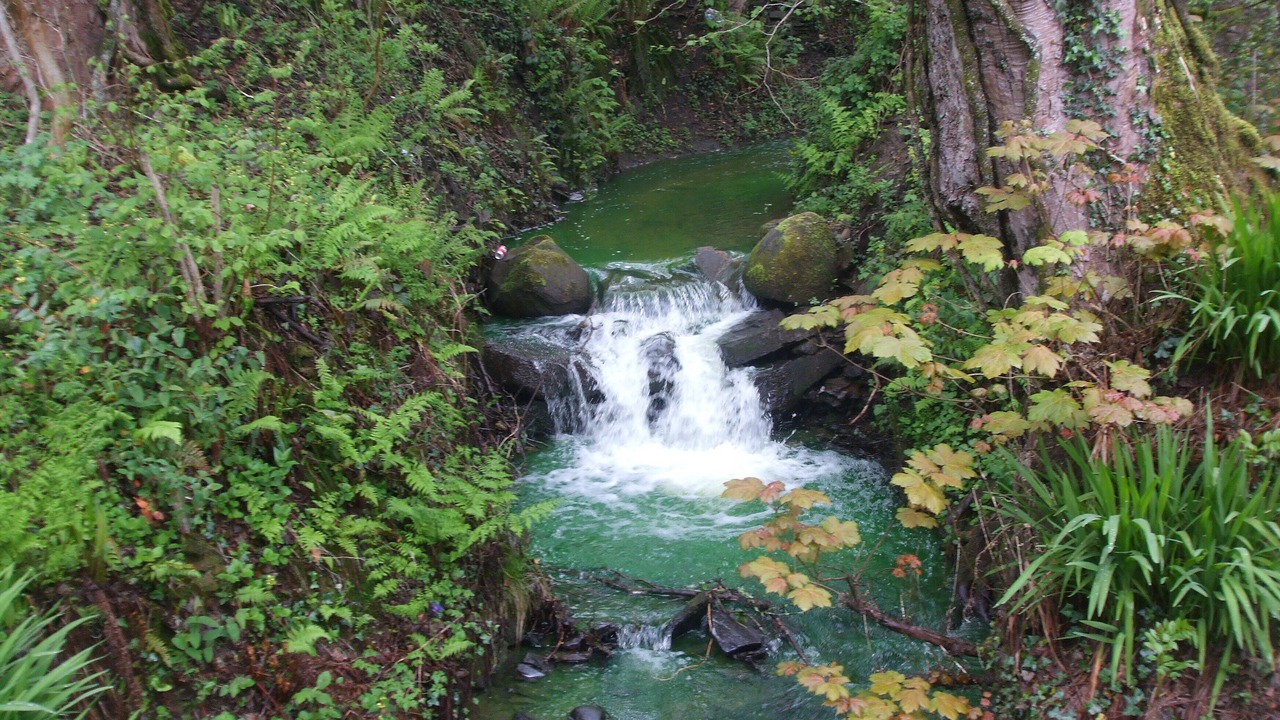 Photo of Outdoor in Cadoxton
