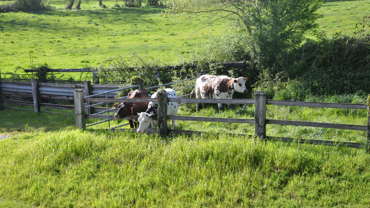 Photo of Outdoor in Tournay-sur-Odon