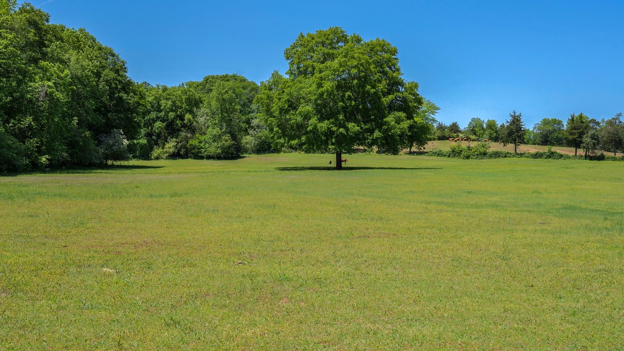 Photo of Others in Athens