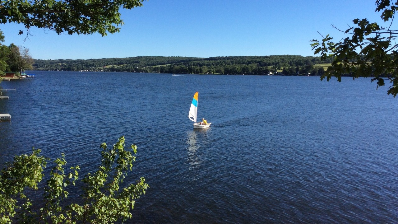 Photo of Others in Dundee