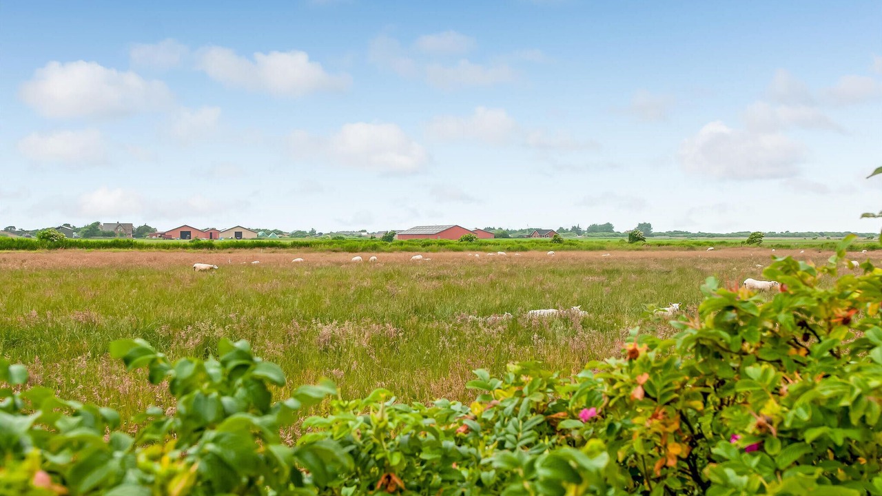 Photo of Bedroom in Sonderho
