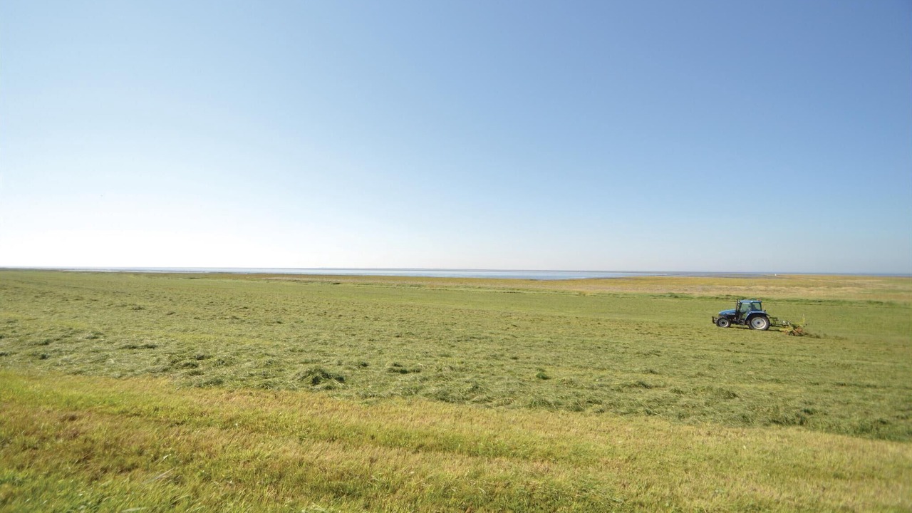 Photo of Others in Sonderho