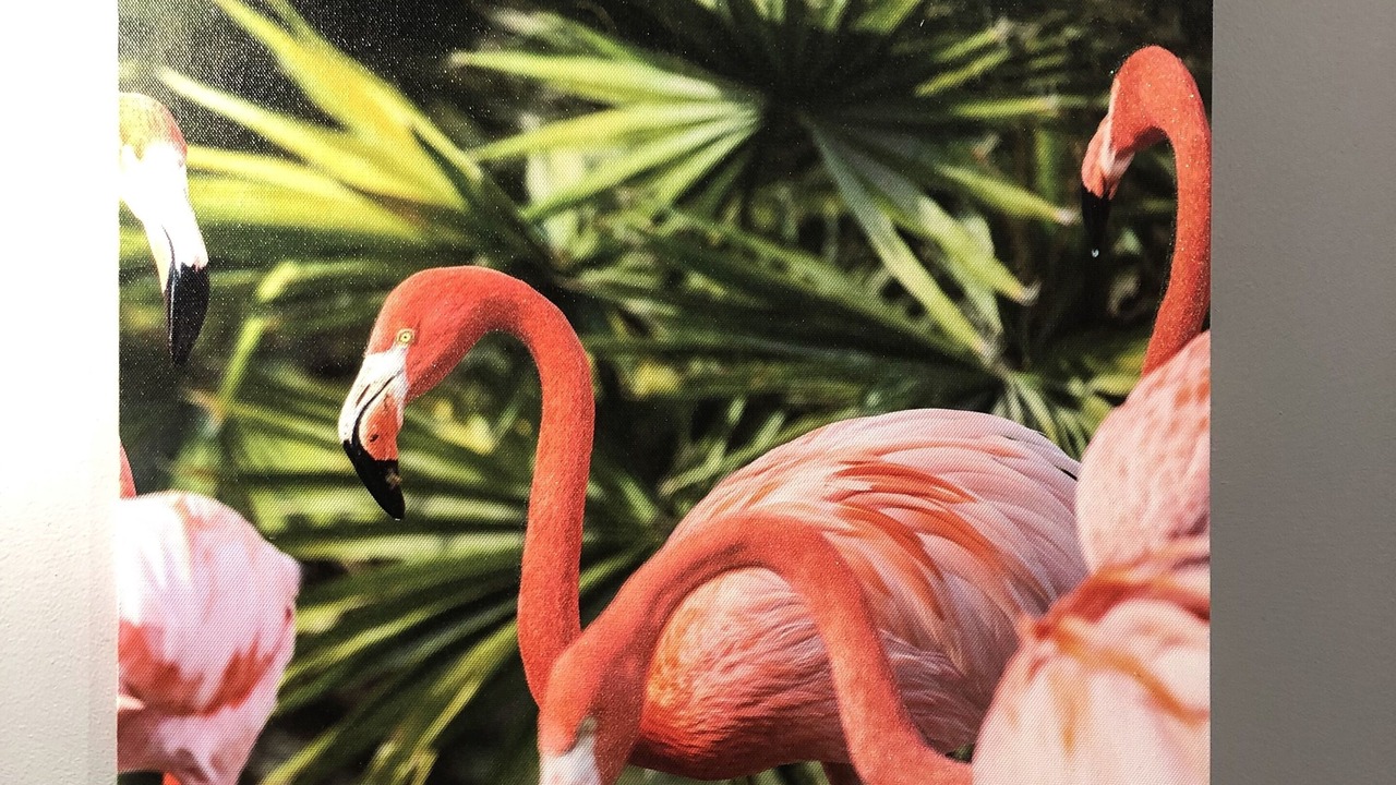Photo of Others in Quartier Saint-Clement - Jardin des Plantes