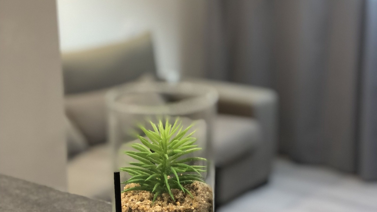 Photo of Others in Quartier Saint-Clement - Jardin des Plantes