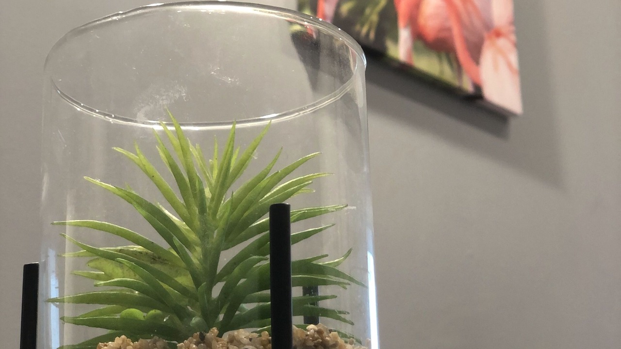 Photo of Others in Quartier Saint-Clement - Jardin des Plantes