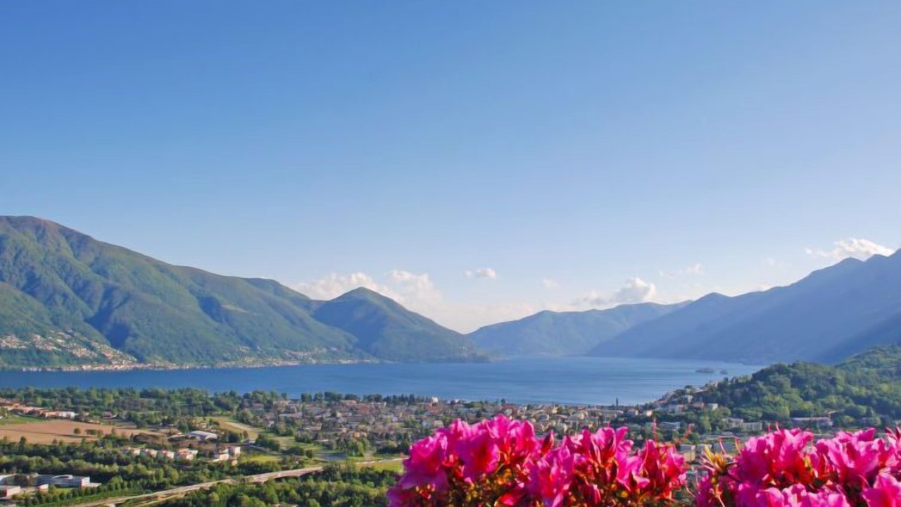 Photo of Others in Locarno
