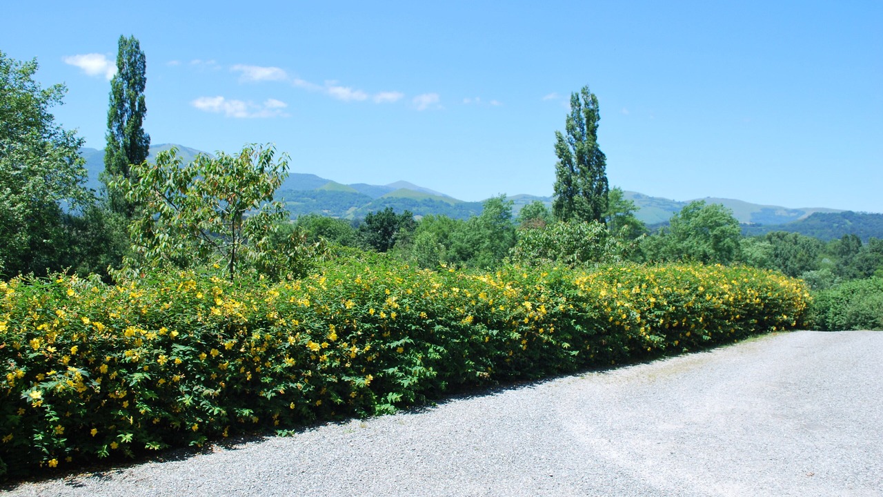 Photo of Outdoor in Menditte