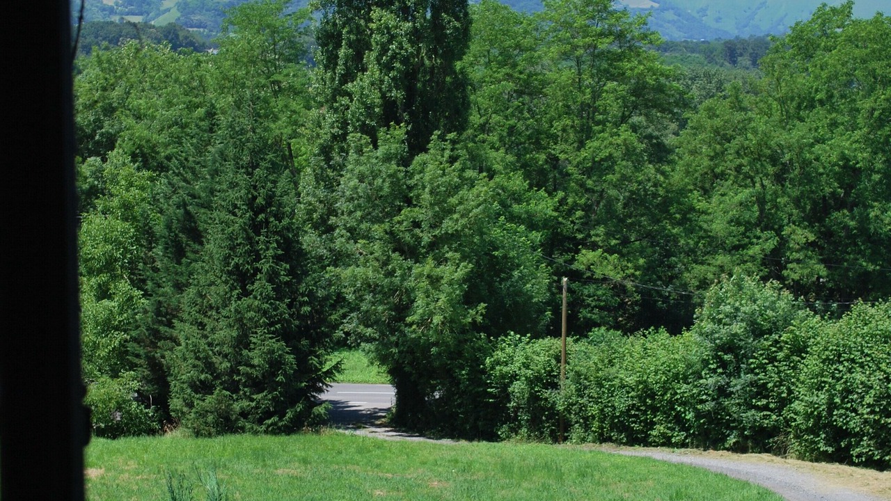 Photo of Others in Menditte