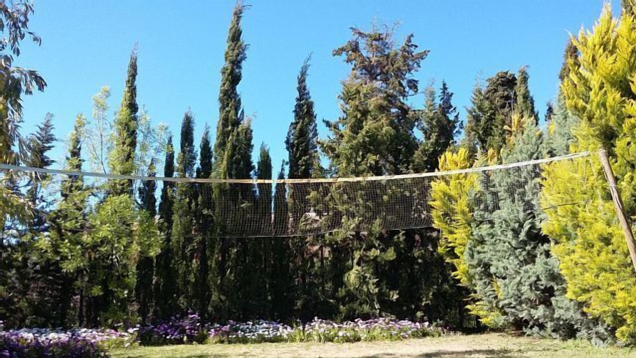 Photo of Others in Figuerola del Camp